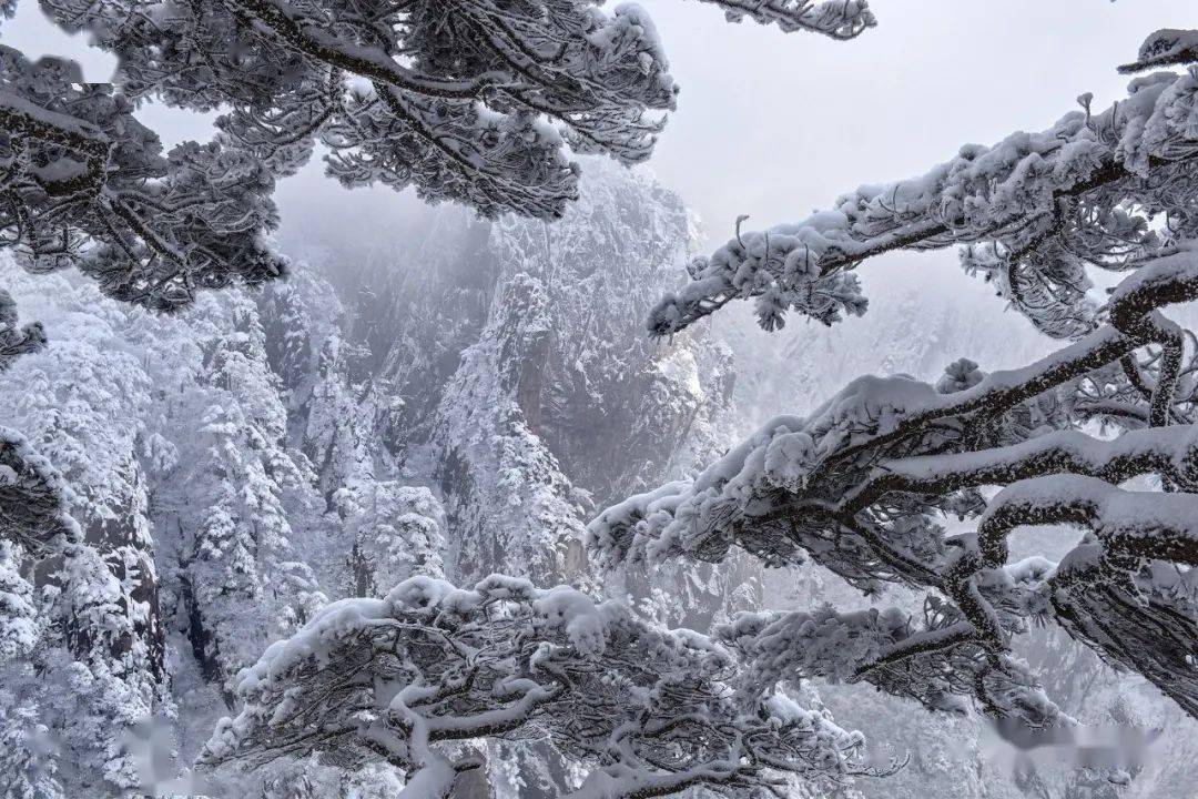 冬雪来临,12.22-24冬摄黄山3日精品摄影创作团火热报名中