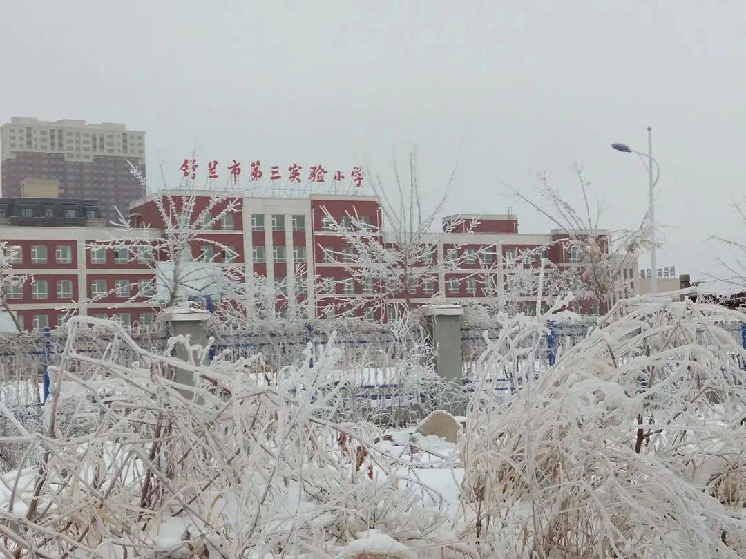 拍摄地:黑龙江省 绥化学院汇文楼西侧 拍摄者:滕晓茵 玉树琼枝 晶莹