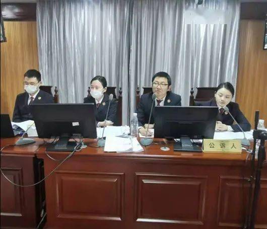 聂世平等22人涉黑案在通山法院公开审理_手机搜狐网