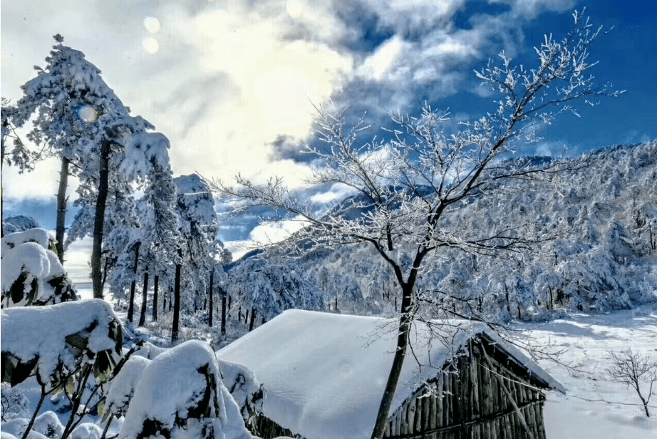 海南姑娘遇到大雪天气怎么样_(海南姑娘遇到大雪天气怎么样呢)