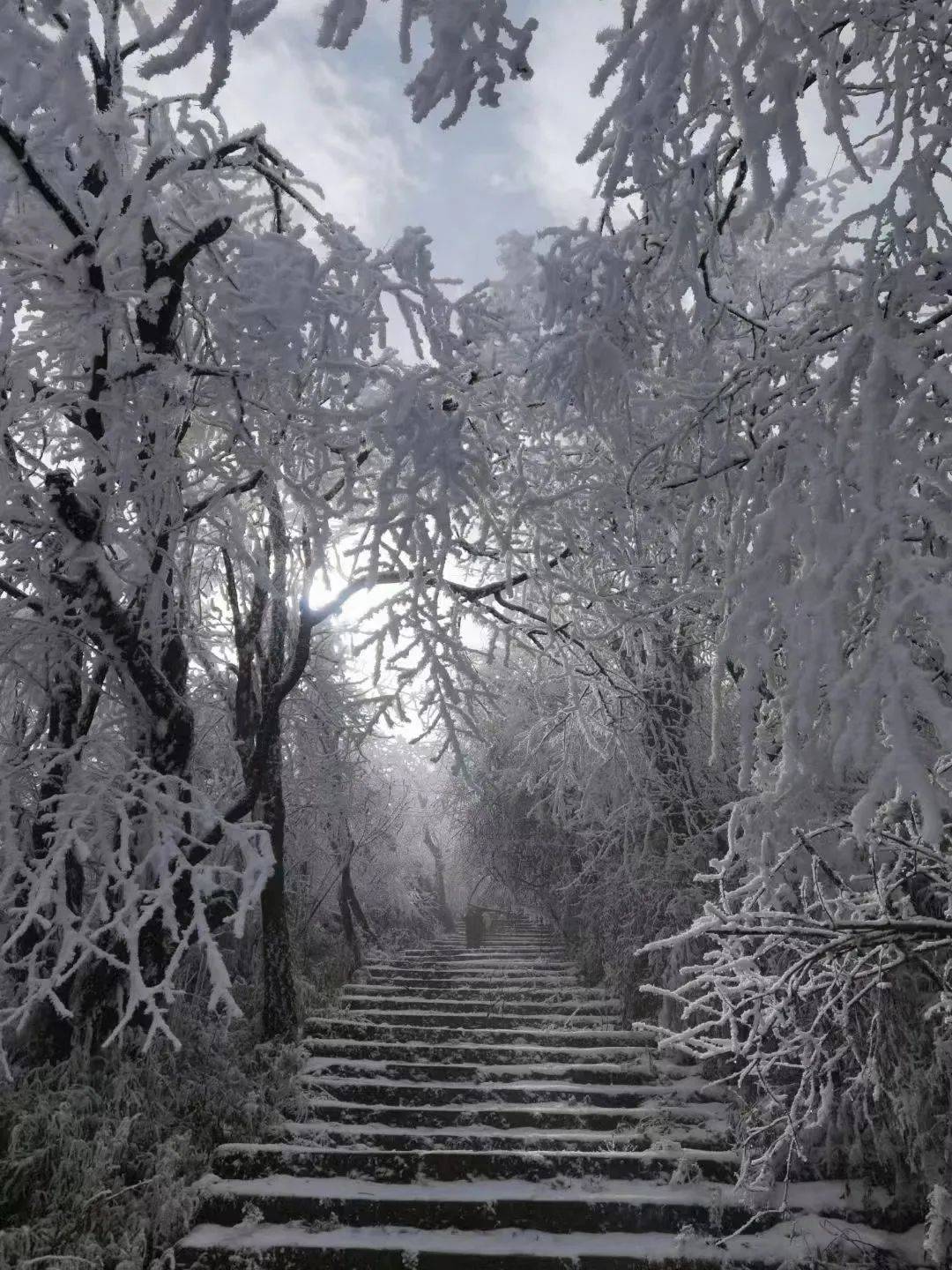 绵阳看雪就在这个踏踏.