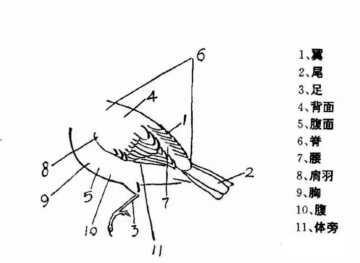 d599d632c944487daf89be0b751c3709.png