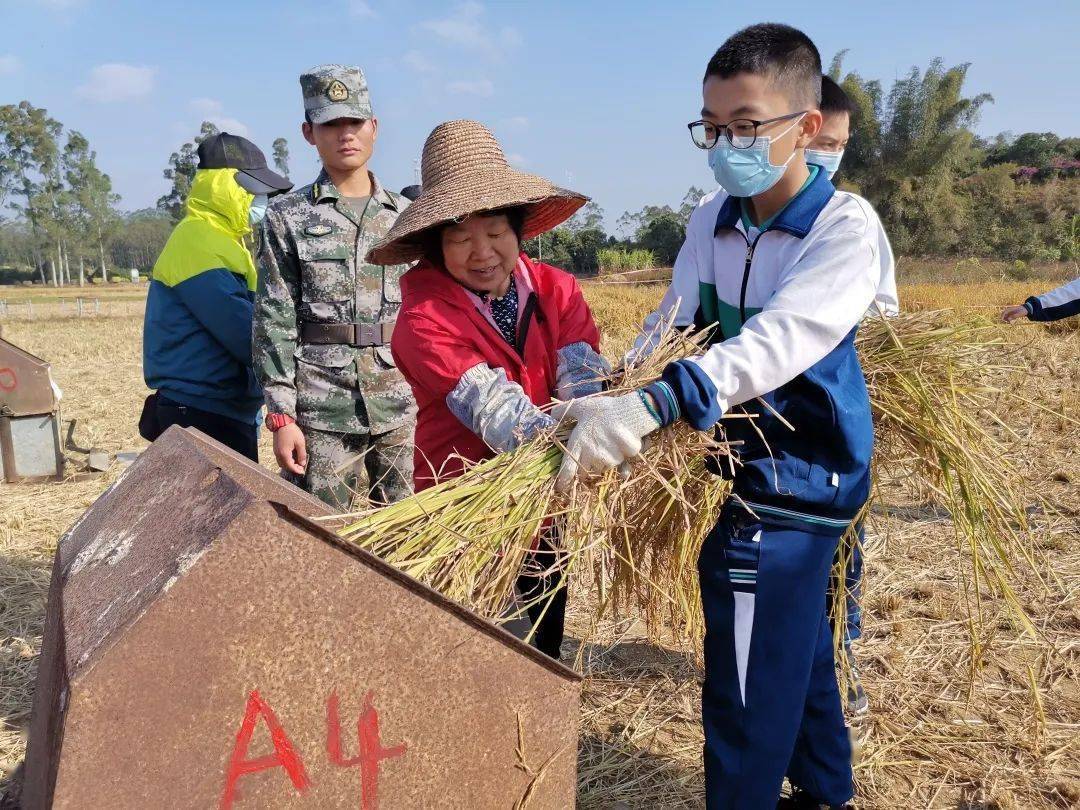 融入大自然的农田体验秋收的喜悦初二级开展农耕研学活动