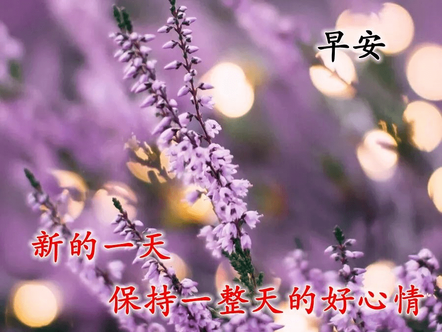 幸福好运的早安心语问候 冬日暖洋洋的早安祝福美图