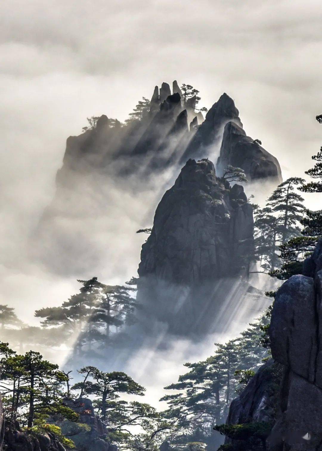 【"e眼黄山"作品赏析·摄影组】镜头里的黑白黄山,宛如水墨画境
