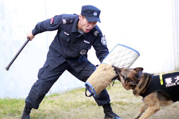 放置奇兵光明英排名_《放置奇兵》光明执法官出动!(2)