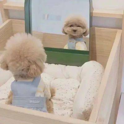 情头 恋爱谈久了还会注意形象吗