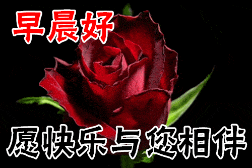 12月10日最漂亮早上好动态表情图片大全,早晨好动图美图大全