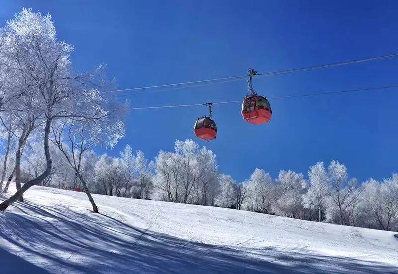 中国7大世界级品质滑雪场开KK体育营啦！快来High翻整个冬天！(图20)