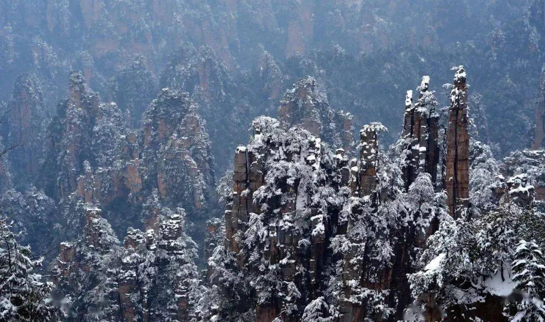 远看天子山雪景:溪深古雪在,石断寒泉流中看天子山雪景春雪满空来,触