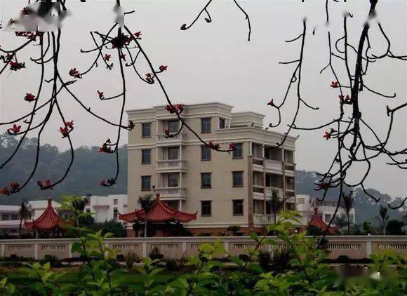 西胪镇各村人口_潮阳西胪镇泉塘村图片(3)