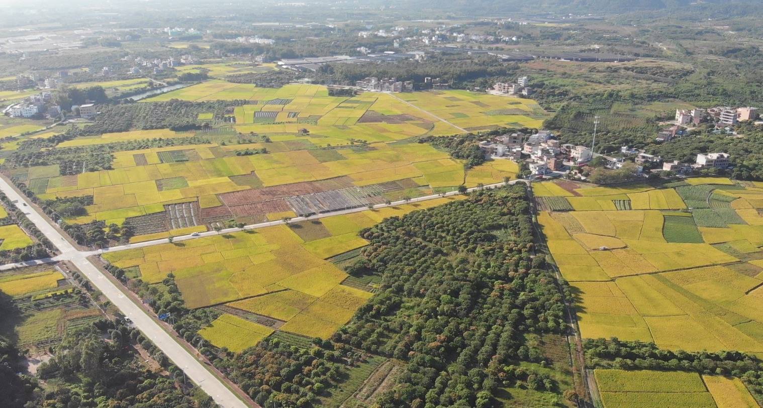 从化区城郊街荷村人口_从化区城郊中学图片(2)