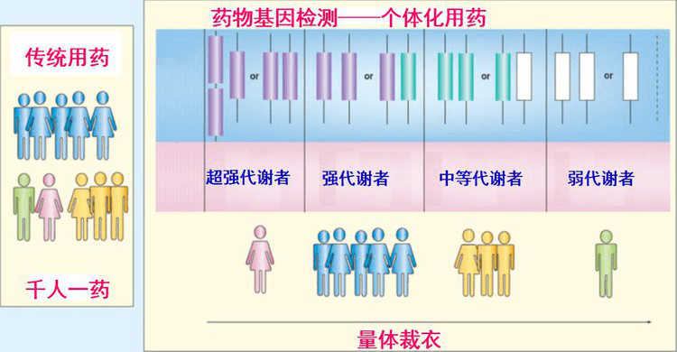 关注个性化用药丨为什么要做药物基因检测