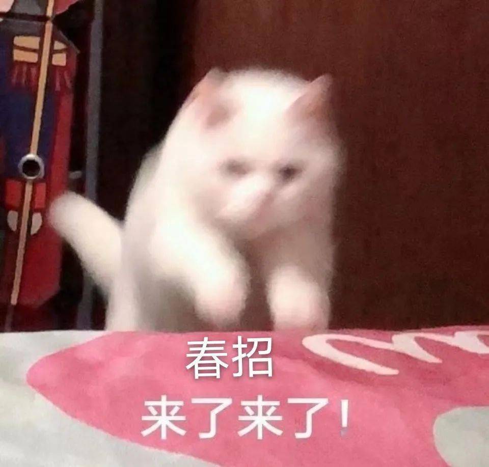 c3e423f52fe944458f569c50ae6685bb.jpeg