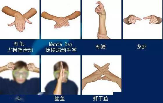 【潜水知识】水下通联——新手学习,老手复习_手势