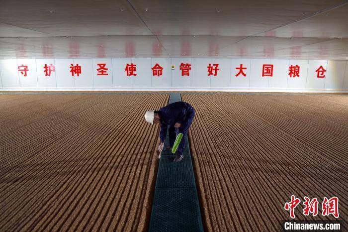 走近大国粮仓护粮人：感恩珍惜 劳动最美