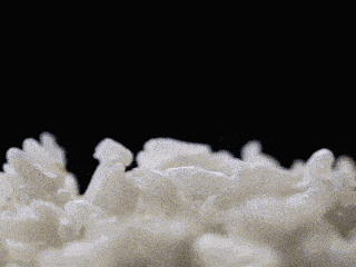 f8674c7209bb4f87a191cae1cf7e9f51.gif
