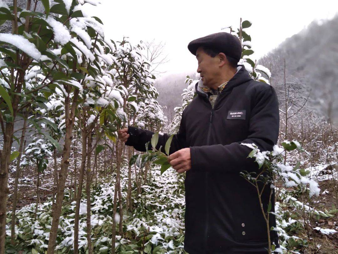 十八里长峡位于神农架林区,竹溪县和重庆