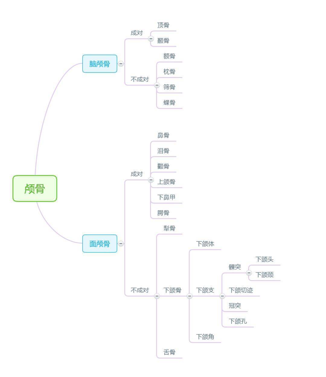 解剖学思维导图完整版【人手一份】_手机搜狐网