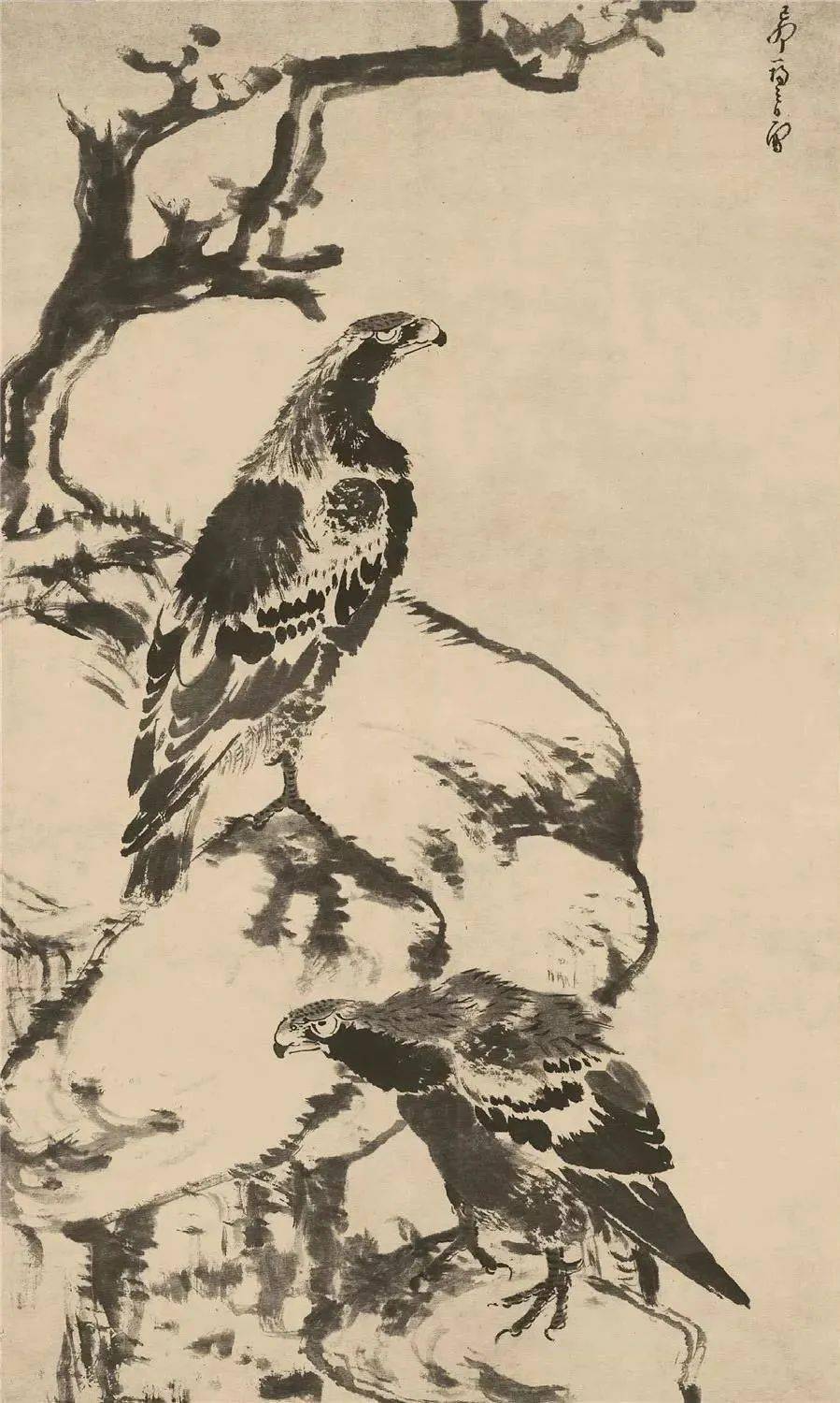 雙鷹圖 三幅八大山人《双鹰图》，精彩!_笔墨