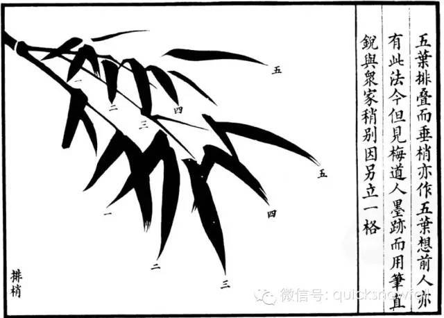 竹子简谱画_竹子画