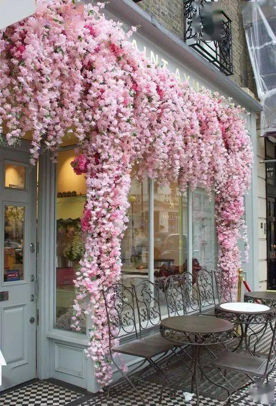 【花生活】开一间花店,治愈人生
