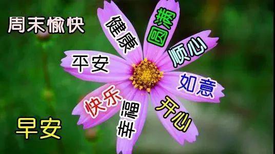 周日漂亮早上好问候动态图带字,12月早安温馨问候祝福