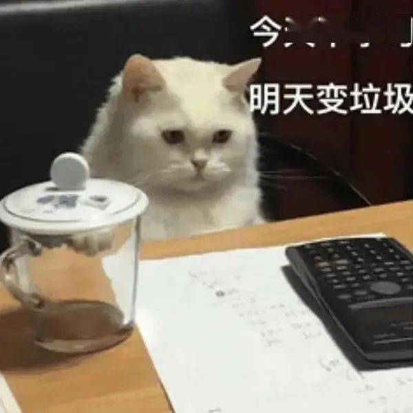 806170afaba64110b58c1765c9018291.jpeg