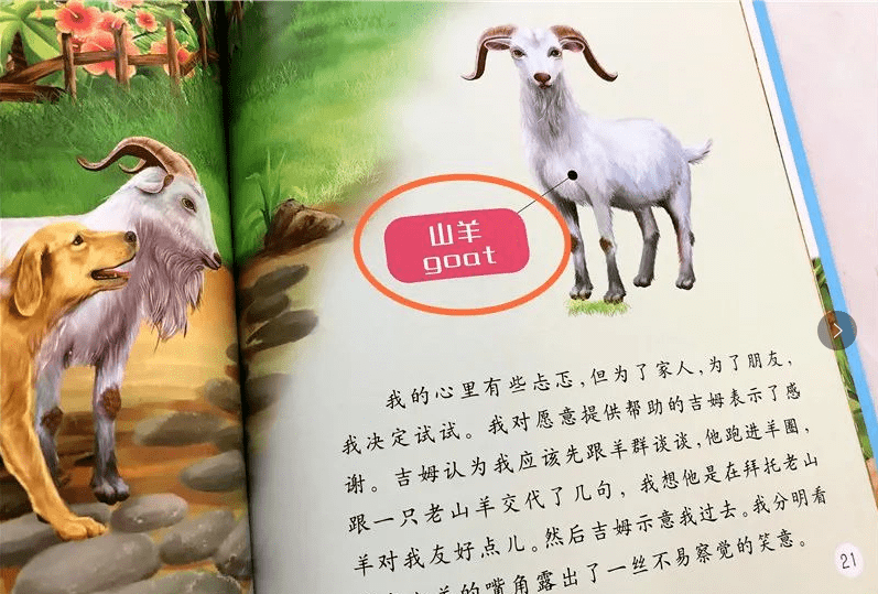 b370ebc5ad474a829e976c3816f04887.png