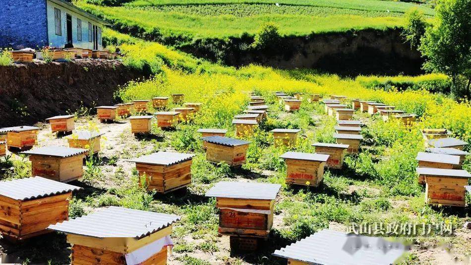 家里种菜与GDP_家里种菜卡通图解(2)