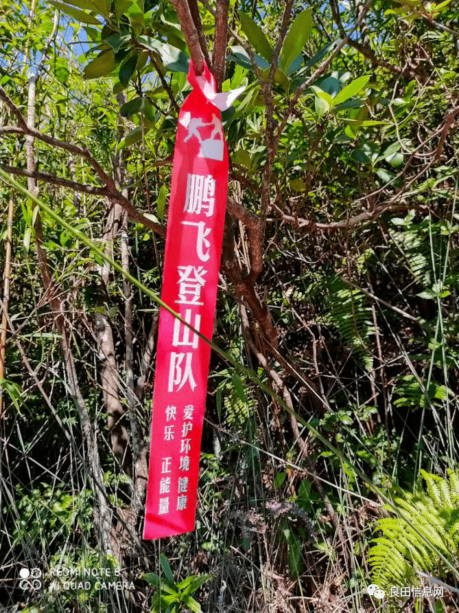 揭西县有多少人口_揭西县地图(3)