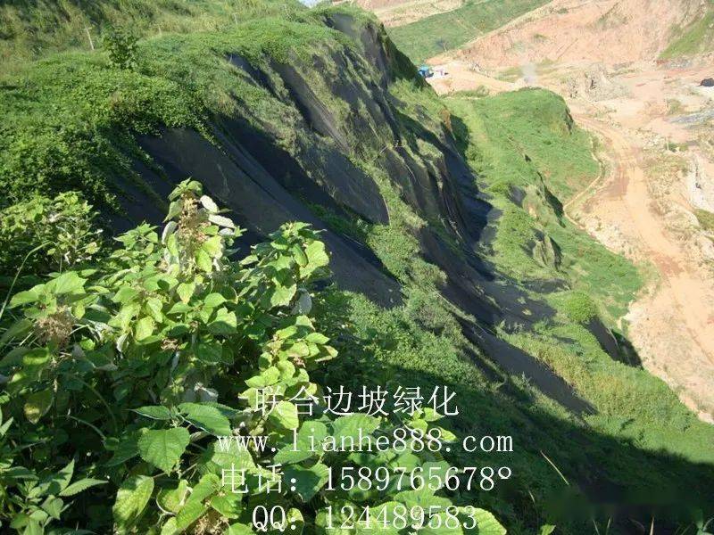 微生物修复措施 矿山废弃地的生态恢复,只是土壤,植被的恢复是不够的