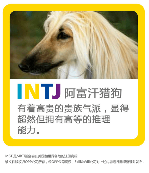 怎么看小狗的mbti e59e73ad79e346a6adad3a8edbb95d4d.png