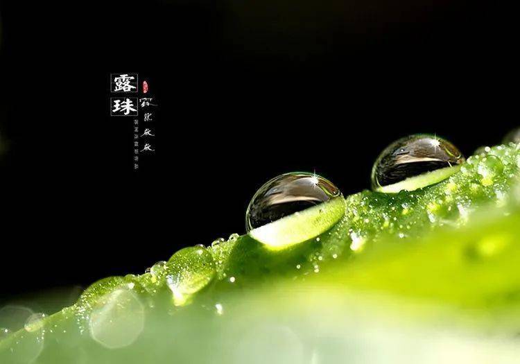 平常心是一种境界吗 3249085763424140a33edf3df3e78535.jpeg