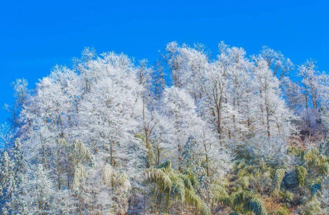 隆回雪峰山大花瑶景区白雪纷飞,银装素裹美醉了!_手机搜狐网