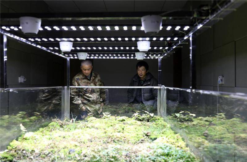 龙王山巡山人，每天“自虐线”八小时，只为保
