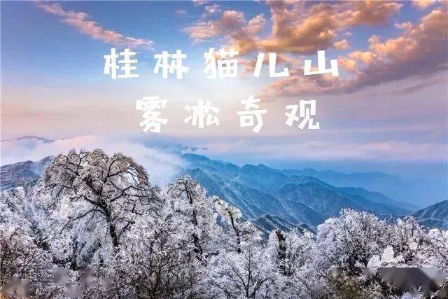 12月19号发团 天冷了 一夜冬风过  雾凇挂满山 今日,猫儿山景区迎来了