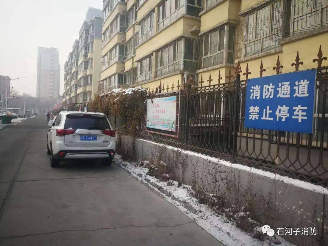 石河子市2020年gdp_石河子市91年的照片(3)