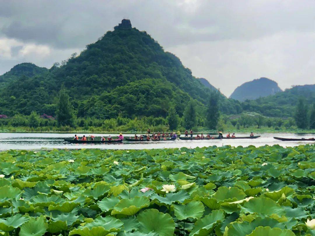 摆 龙 湖 普者黑的摆龙湖美