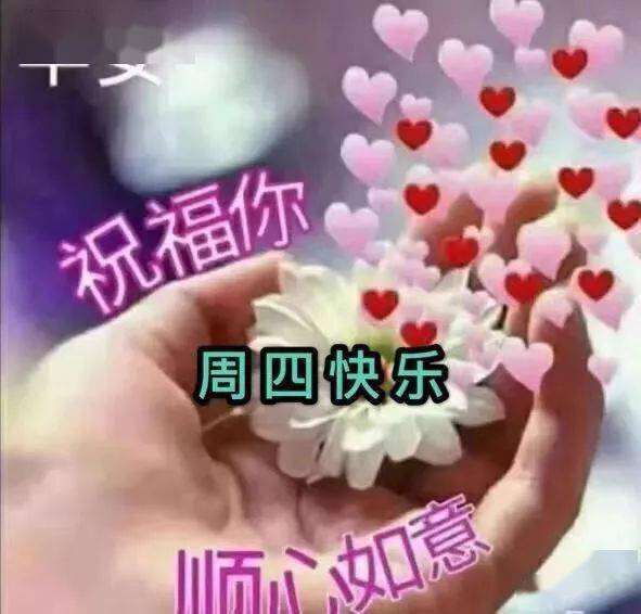 最新创意的周四早上好表情图片周四快乐美好感恩相遇珍惜友情