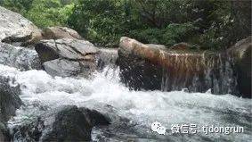 人生最开心的五十件小事