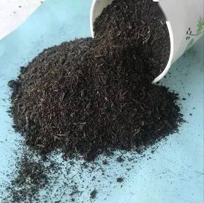 中不会很快腐烂的特质,采用碎废纸屑加鸡粪和土壤搅拌改善牧场的土质