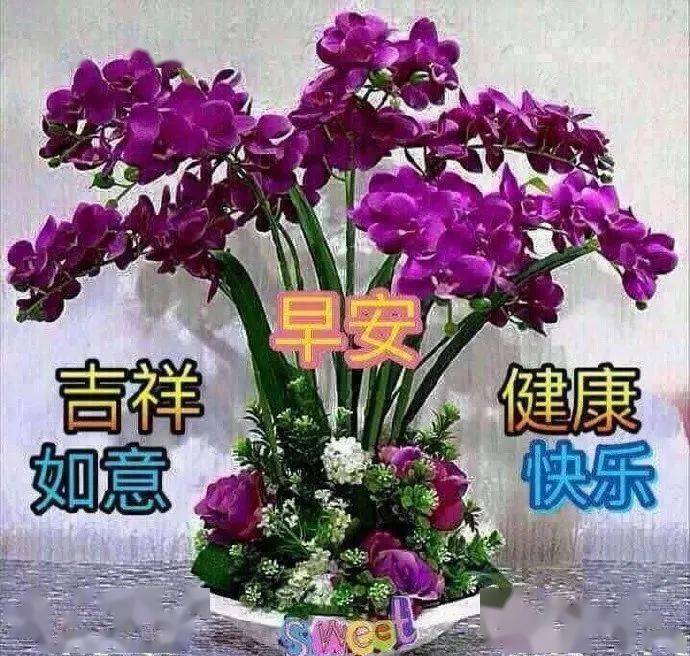 12月17日非常漂亮的早上好动态图片鲜花带字 ,朋友圈新版早安问候语及