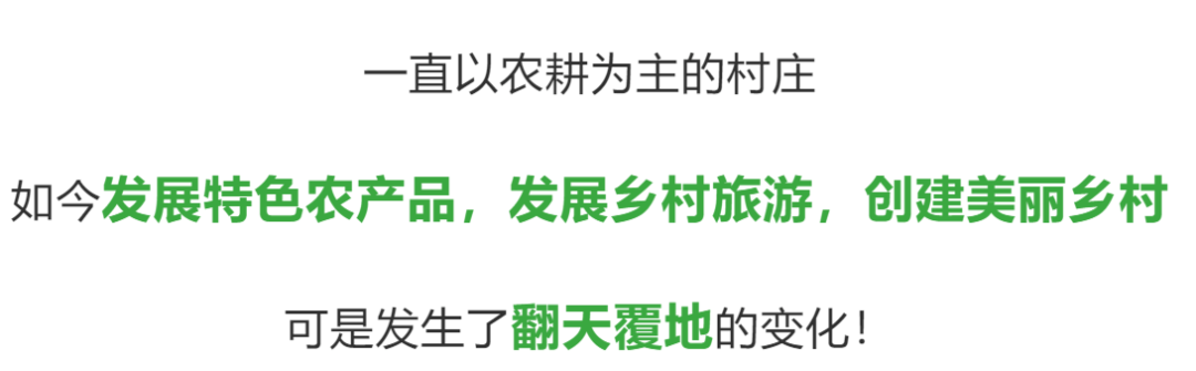 大庭村丨外面的世界再大都不如家乡的那山那水那人