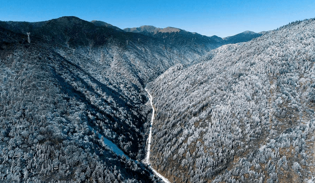 当雪山遇见云海!平武这个地方上演林海雪原奇观,美成了仙境!