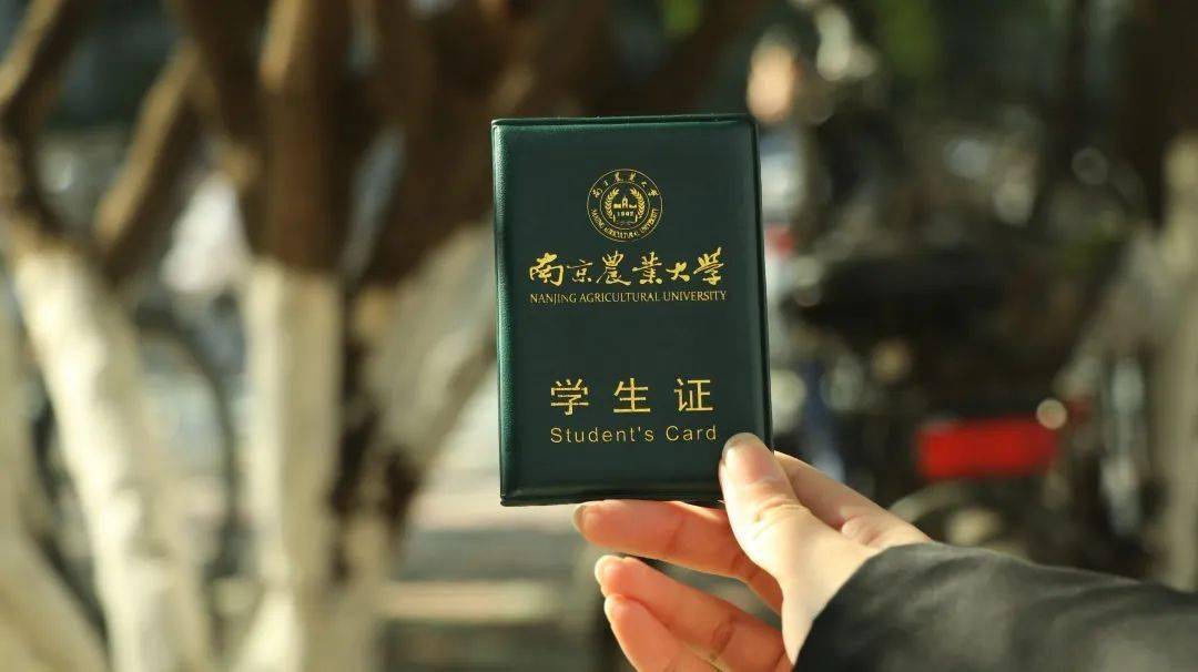 深绿色的学生证从此在你的人生轨迹中占据了70cm 2是知识的积累是成长