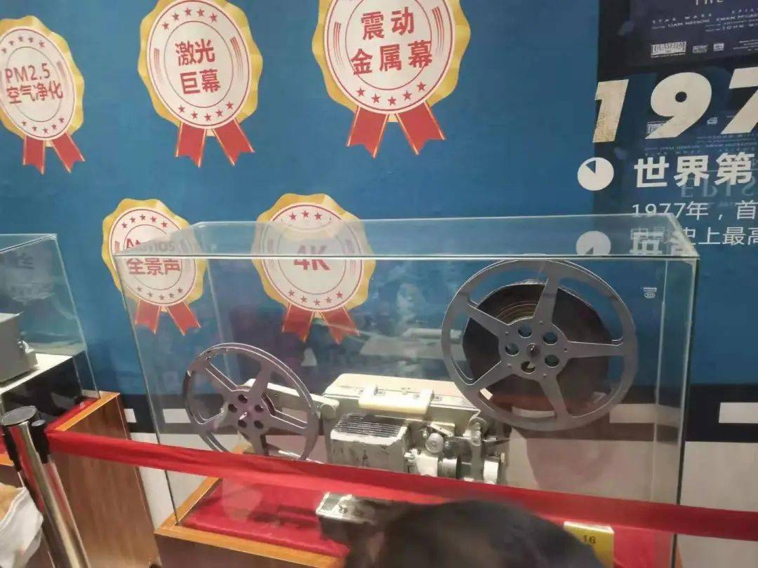 在工作人员带领下,近距离观看 最早的电影放映机和胶片放映机 了解