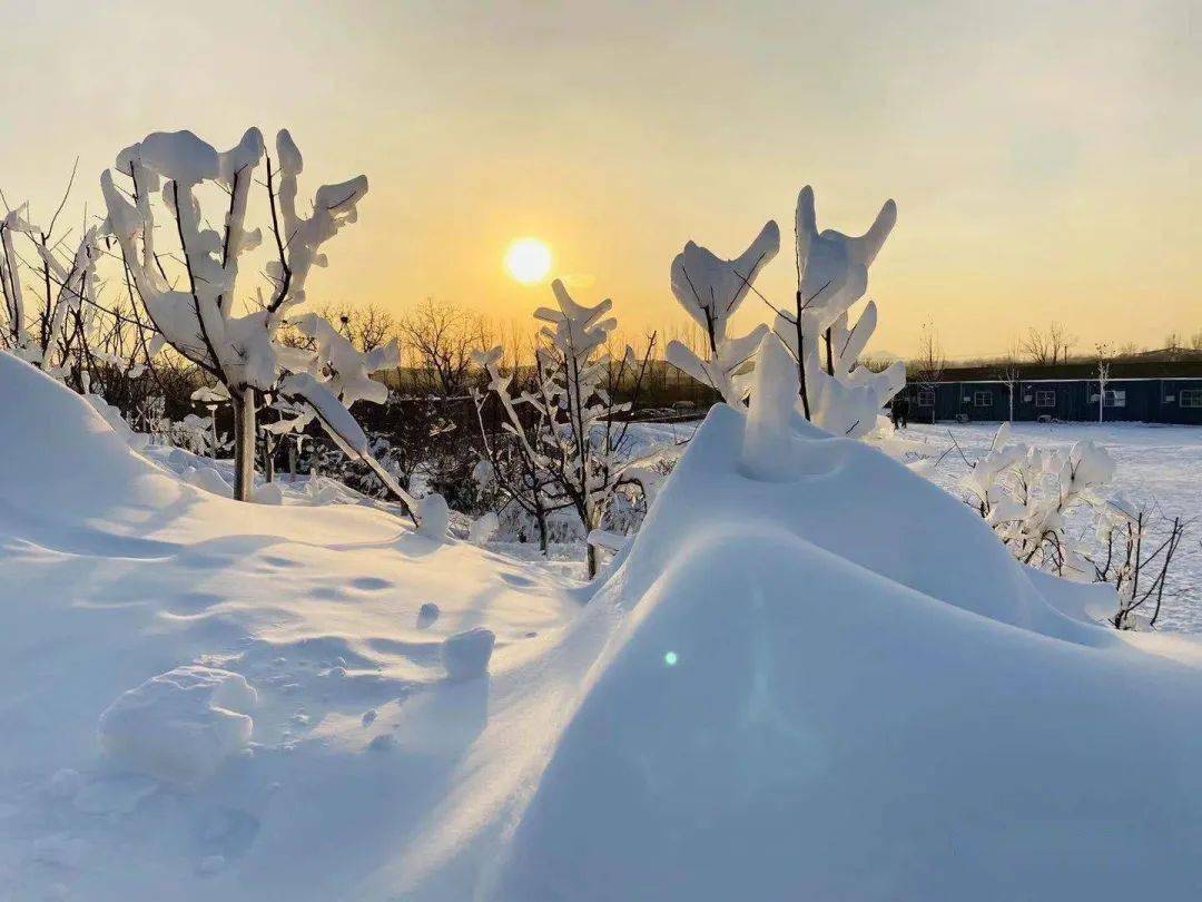 冬天的第一场戏雪你确定不来吗