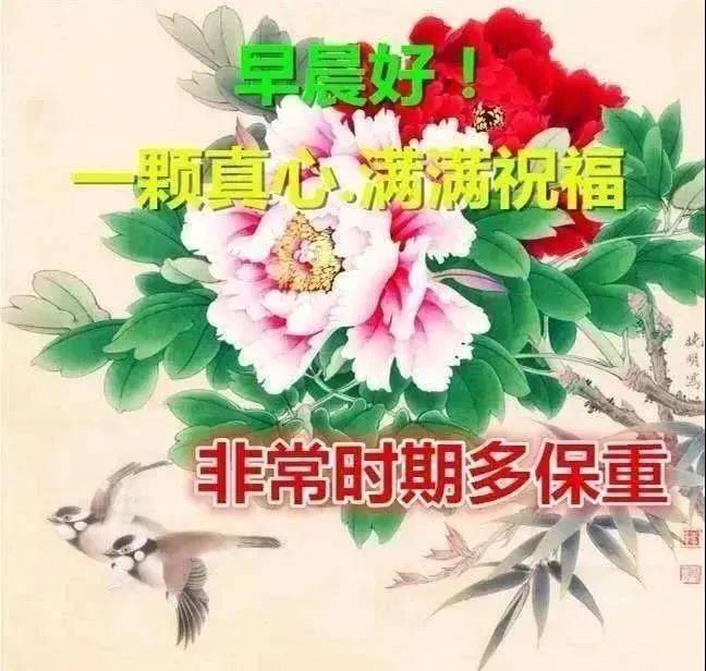 7张最新暖心的疫情早上好祝福语图片带字 有创意的清晨早安问候祝福语