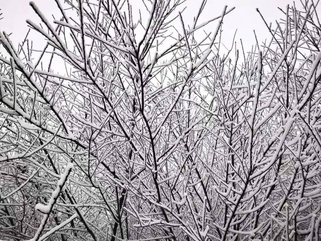 多少度才会下雪 9a0ba81d5d694ed9a68690ffa40ecfdb.jpeg